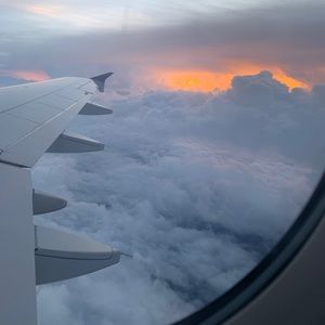 Meet your Posher, Tasha